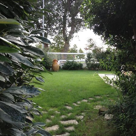 Villa Gioia Rooms Montegranaro Luaran gambar
