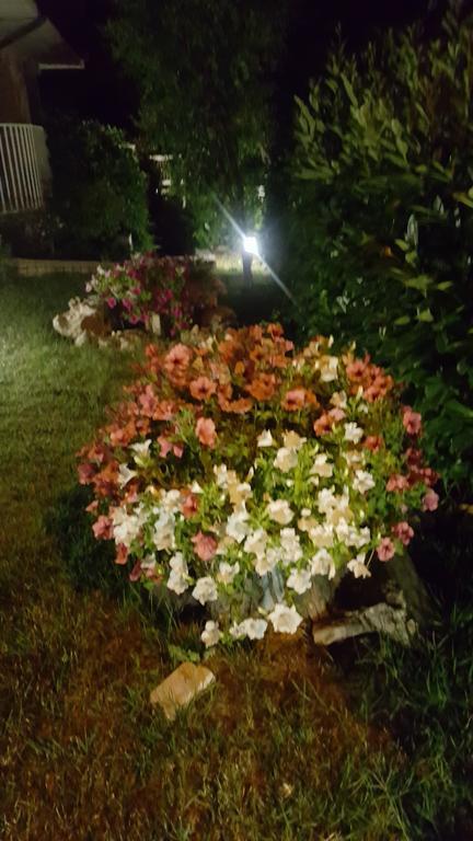 Villa Gioia Rooms Montegranaro Luaran gambar
