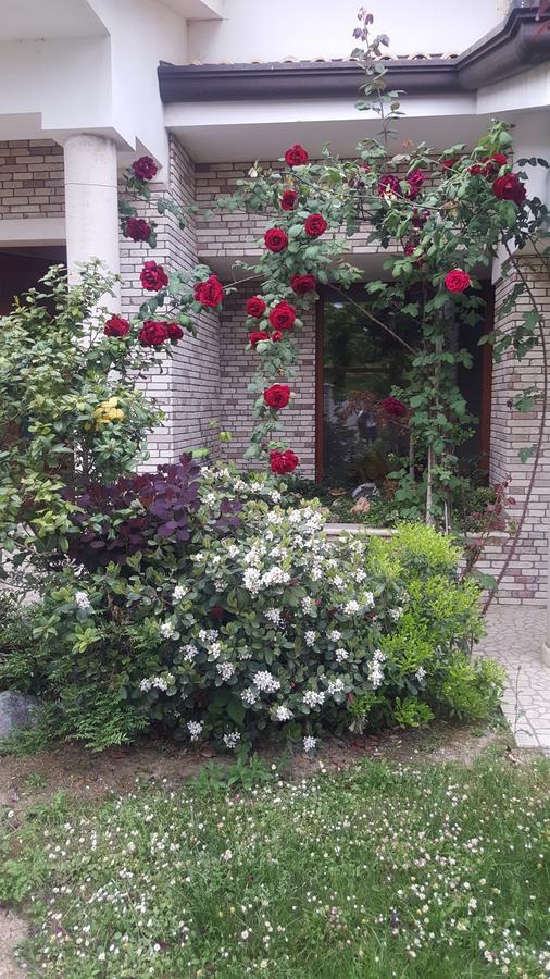 Villa Gioia Rooms Montegranaro Luaran gambar